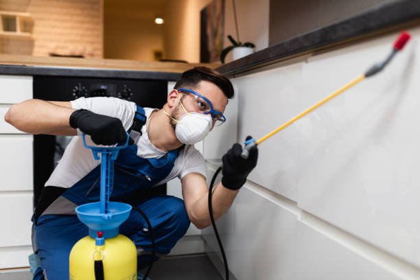 Best Mosquito Control Services  in Clinton, WA