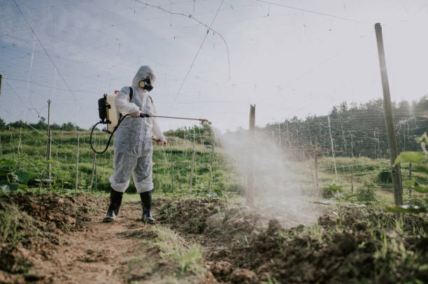 Best Best Pest Control Companies  in Clinton, WA