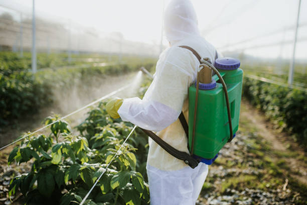 Pest Control Cost in Clinton, WA